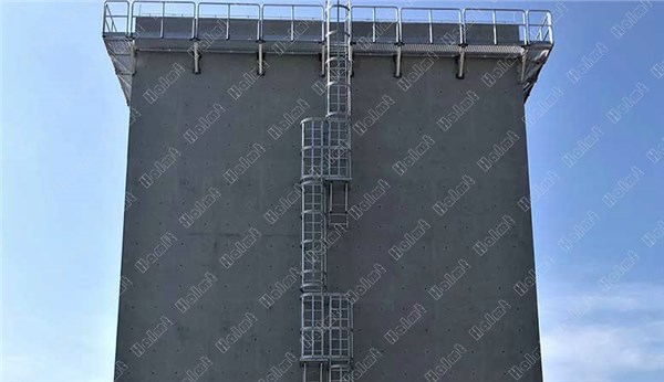 Aluminum Caged Ladder